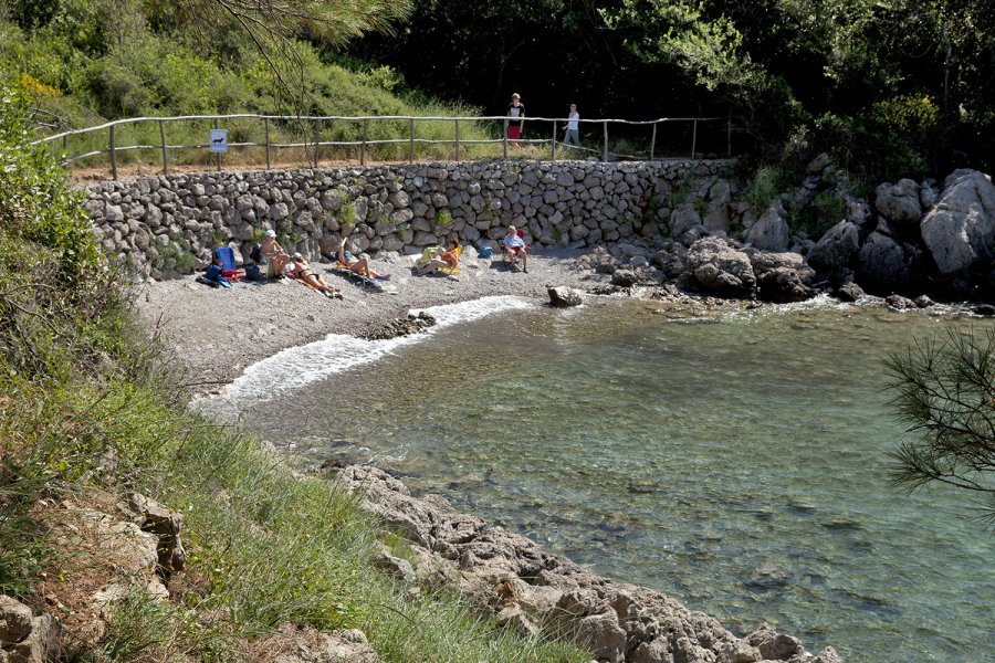 Insel Krk mit Hund 1