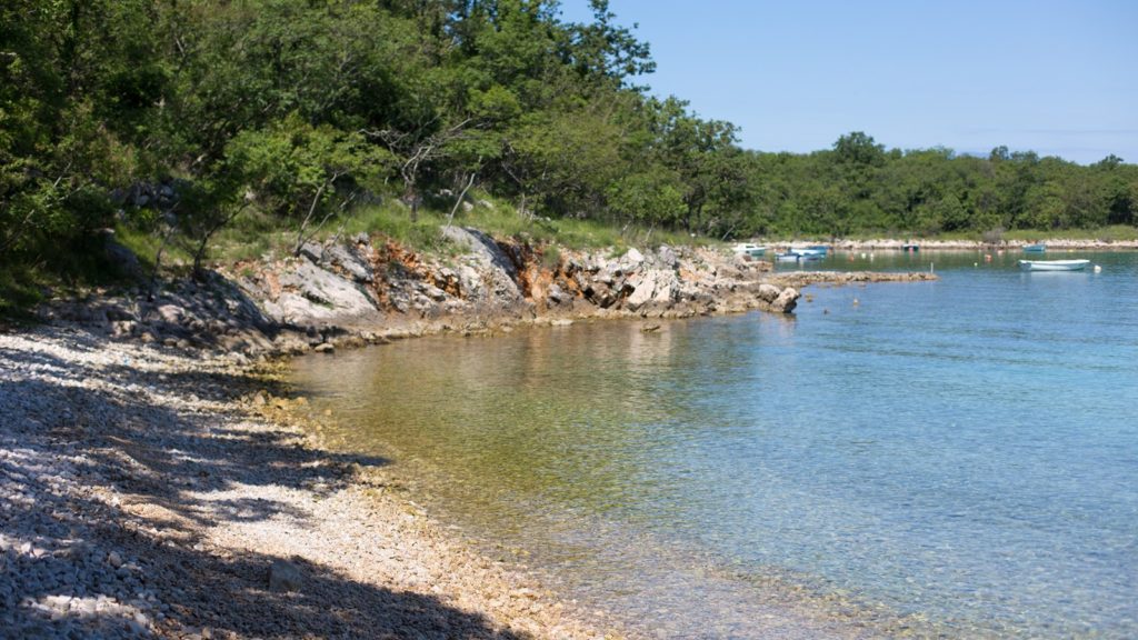 Insel Krk mit Hund 4