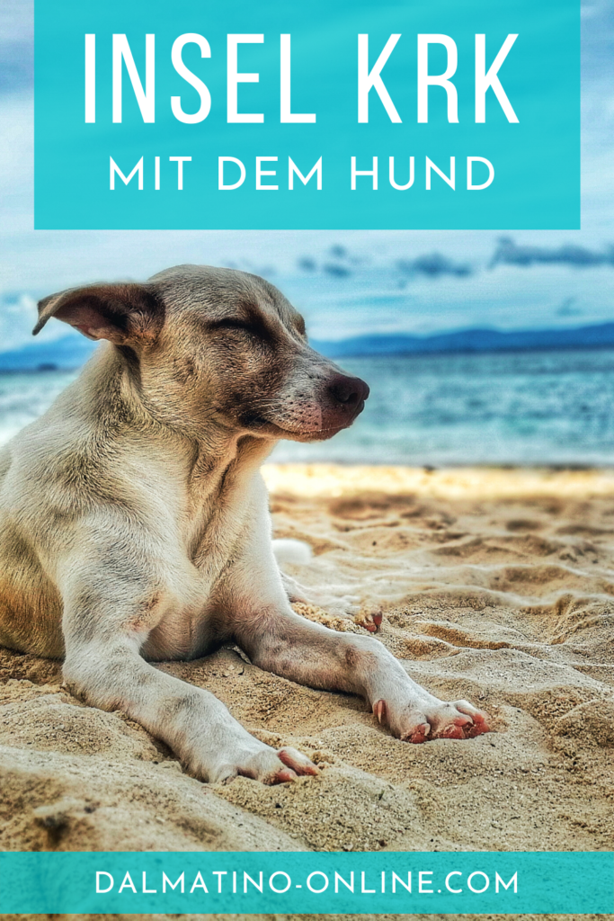 Insel Krk mit Hund 9