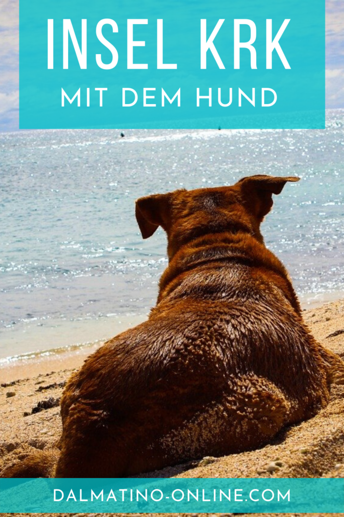 Insel Krk mit Hund 10